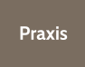 Praxis
